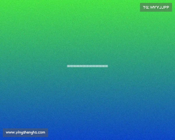 跆拳道技术与文化融合探索：从基础动作到竞技精神的全面解析