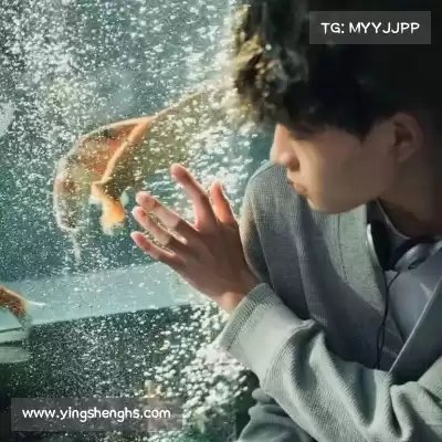 仰冉